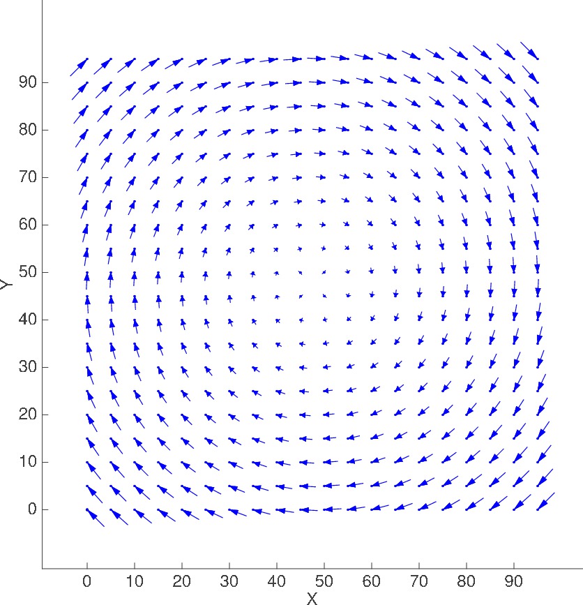 2D plot of advection
              field