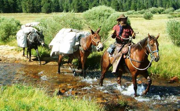 for web page  HJ leading mules across creek