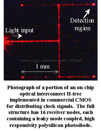 Photo of lit-up on-chip waveguide H-tree