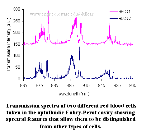 spectra of red blood cells in microfluidic Fabry-Perot