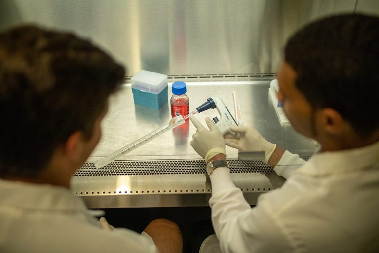 Two graduate students work at a lab desk with pipettes.