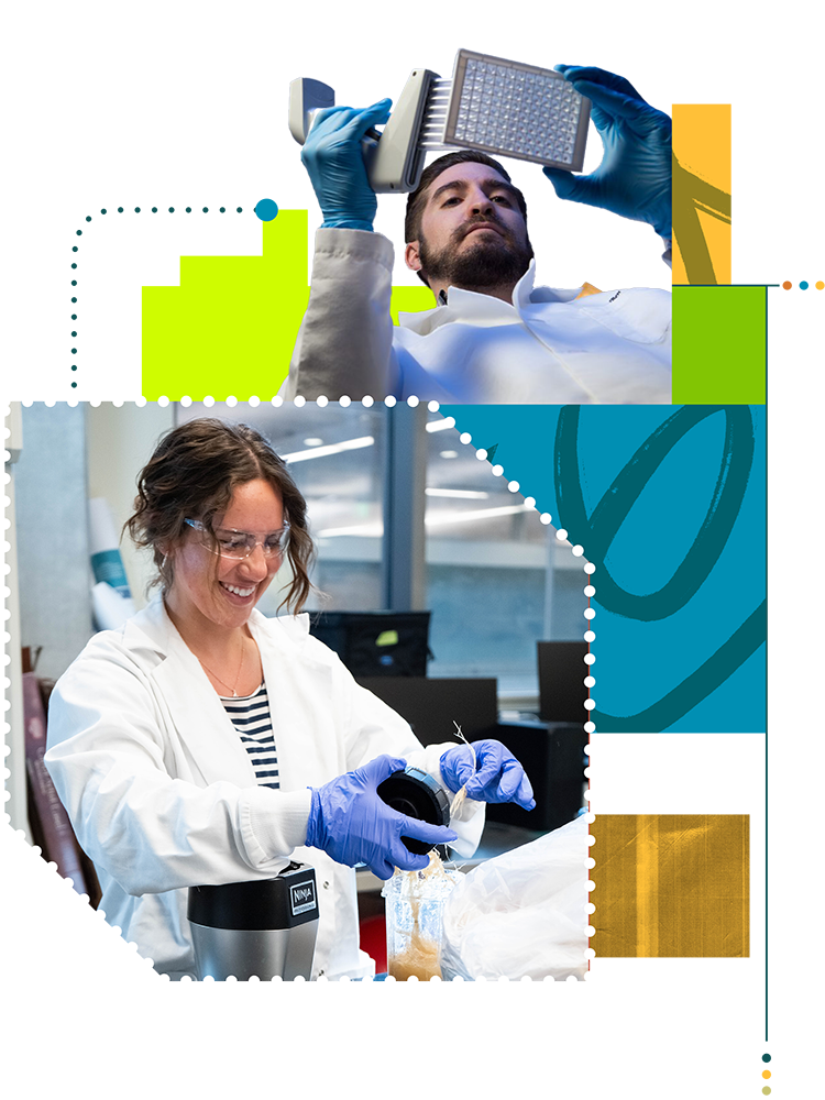 Photo illustration featuring several photos of students working and graphics.