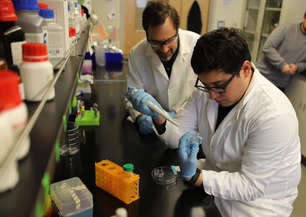Professor Diego Krapf and and Arturo Matamoros, post-doctoral researcher, work in a lab.