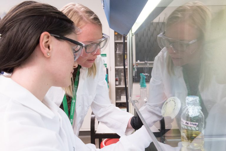Amanda Sherwin, a participant in the Biochemistry Undergraduate Research Experience from Milwaukee School of Engineering works with Colorado State University Chemistry PhD student Abby Ward in Chemical and Biological Engineering professor Christopher Snow’s lab, June 15, 2018.