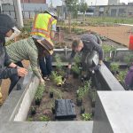 People working in concrete planter.