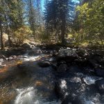 River flowing over shallow rocks.
