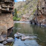 Cache La Poudre River Canyon.