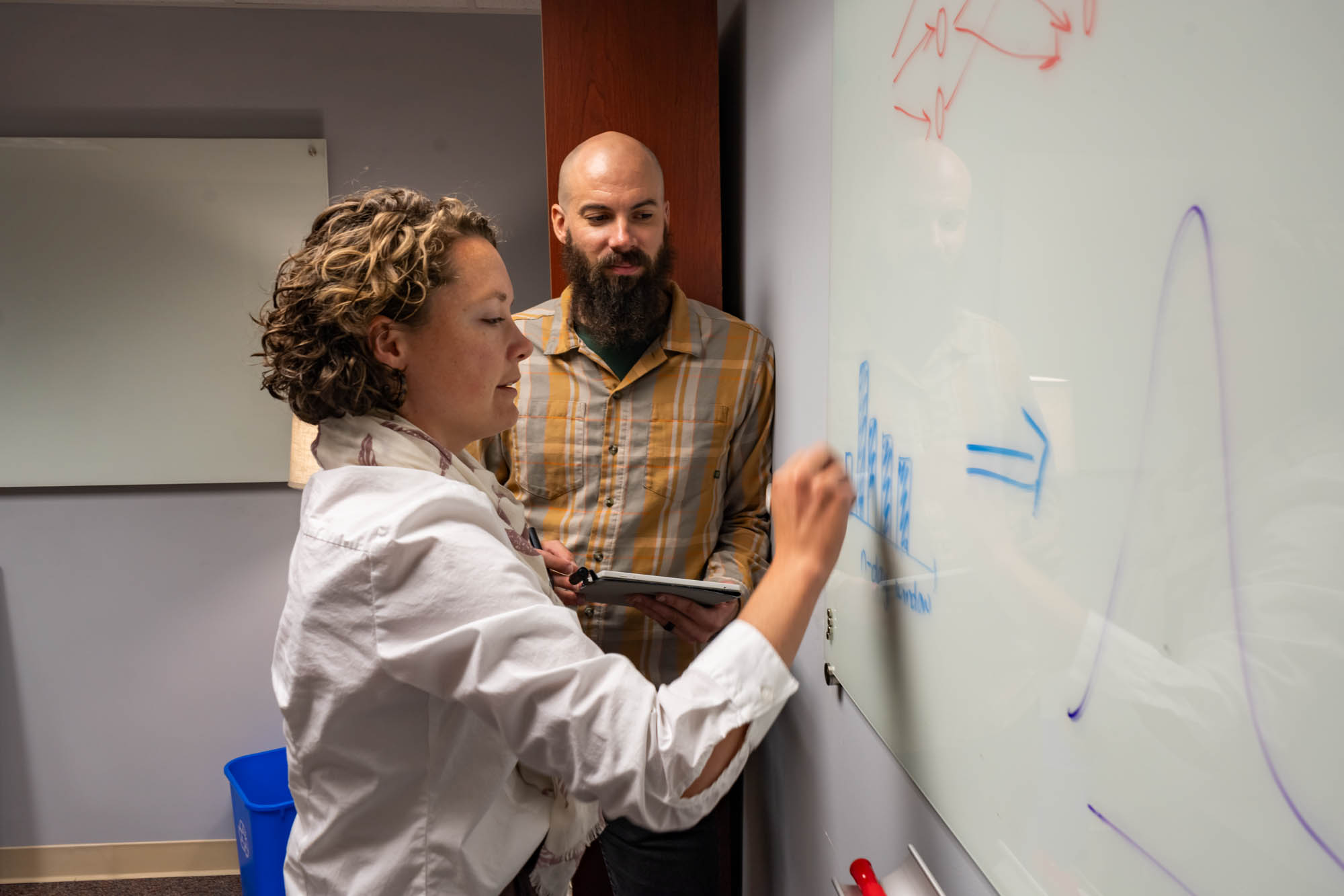 Artificial Intelligence in Civil and Environmental Engineering