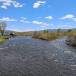 Flooded creek in Colorado's Western Slope.
