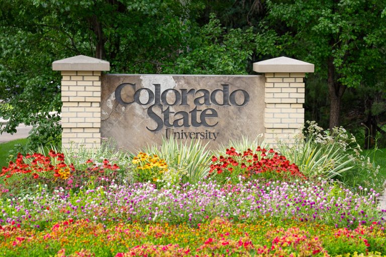 Colorado State University concrete sign with colorful flowers in front