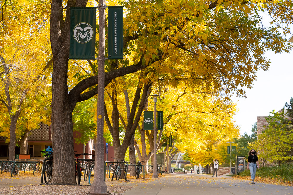 Photo of CSU plaza during the fall