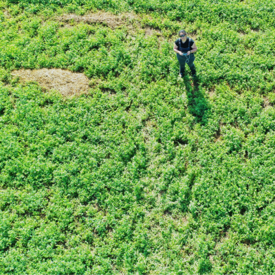 A drone photograph taken of Dixie Poteet preforming field work.