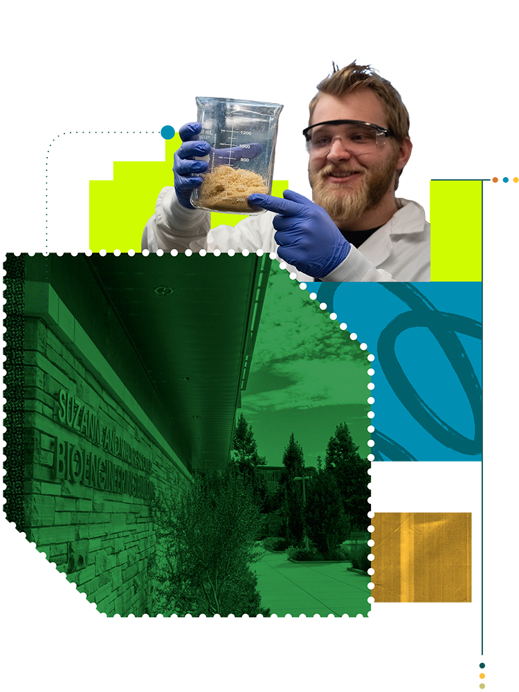 Photo illustration featuring several photos of students working and graphics.