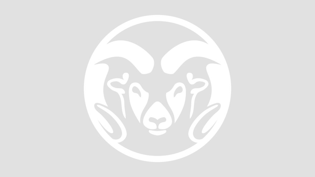 white rams head on gray background