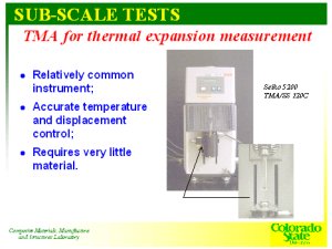 elastic_sub-scale