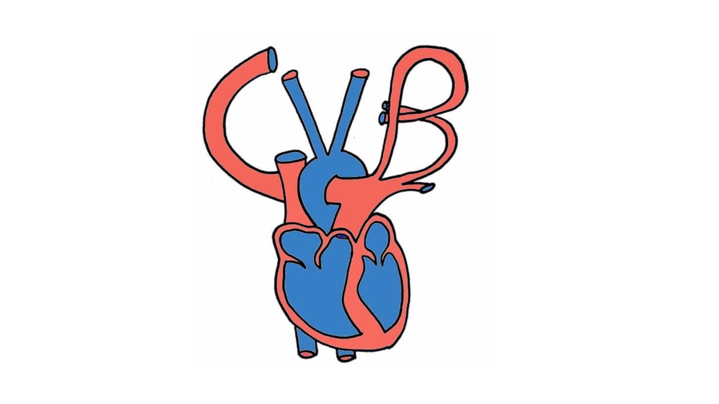 CVB logo