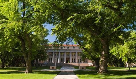 An image of the CSU administration building, framed by trees in the Oval.