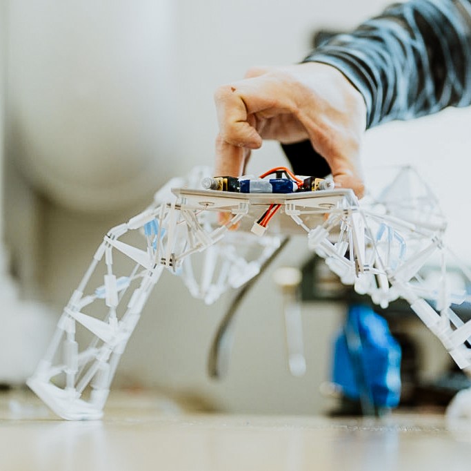 An adaptive robot