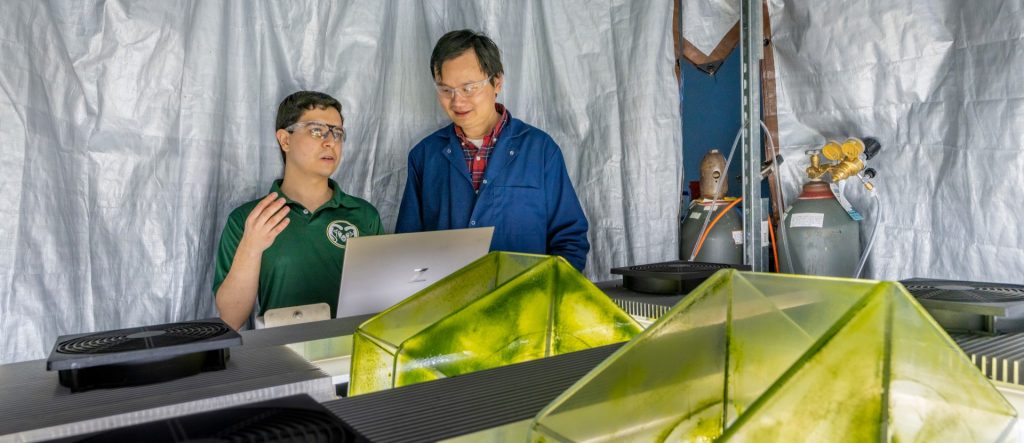 A PhD student and research look over a experiment looking at green algae.
