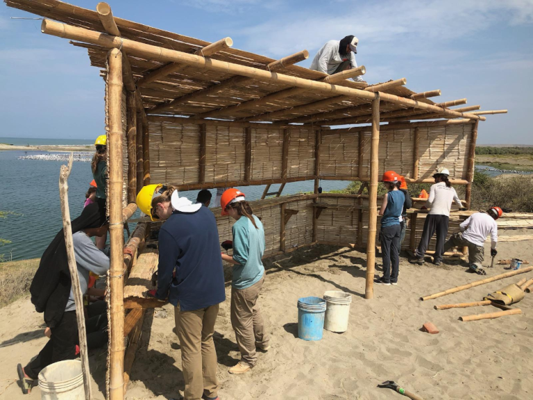 Students building a building