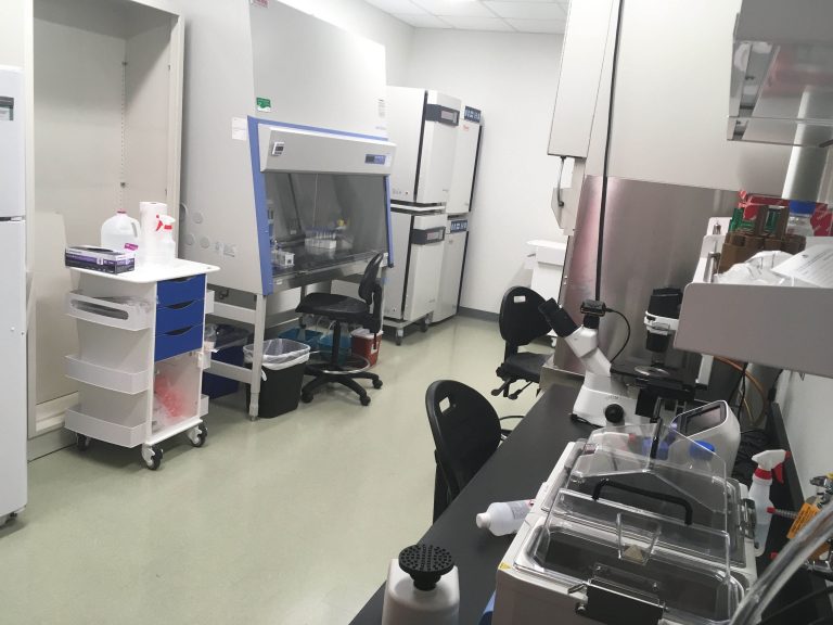 cell culture room