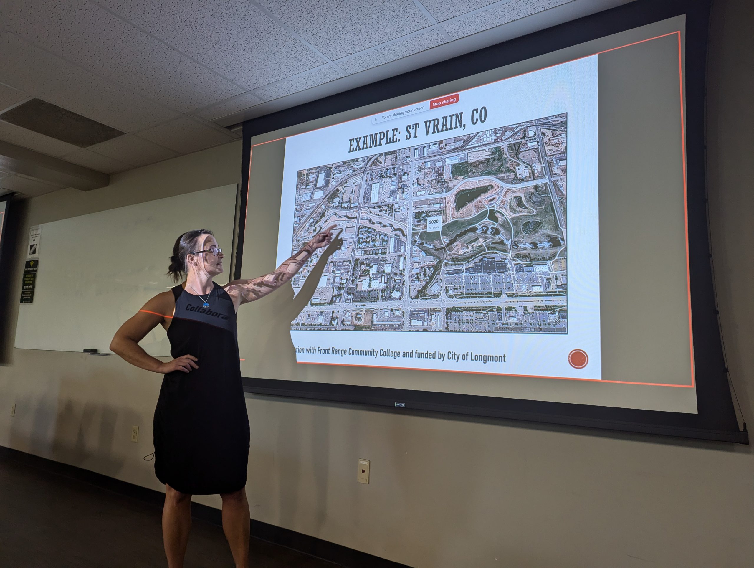 Presenter pointing at projection.