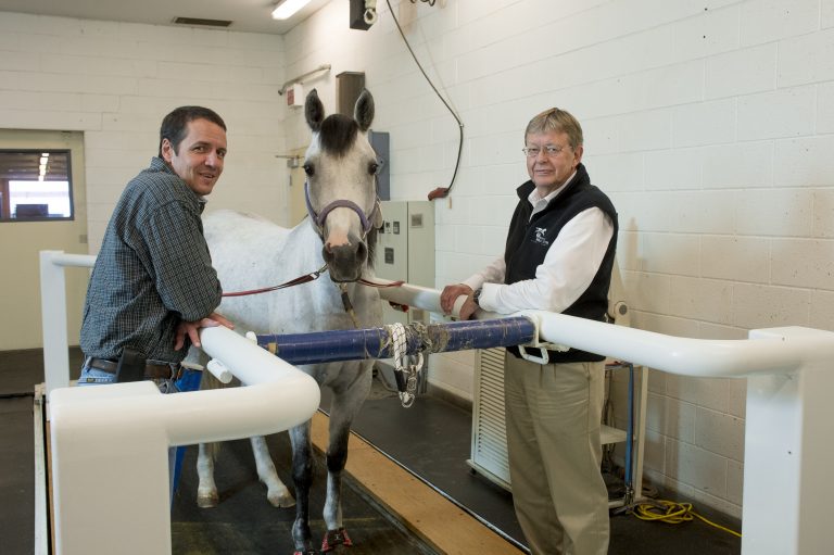 Dr. MacIllwain standing next to horse on treadmill.