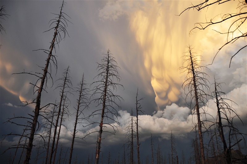 Clouds form and rain falls with burned trees in the foreground.