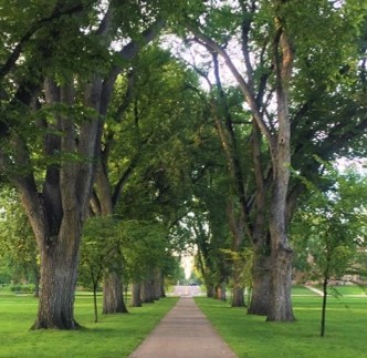 A view of the Oval on CSU's campus