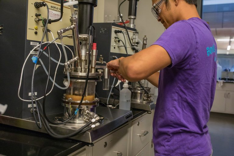 CSU chemical and biological engineering student working with bioreactor.