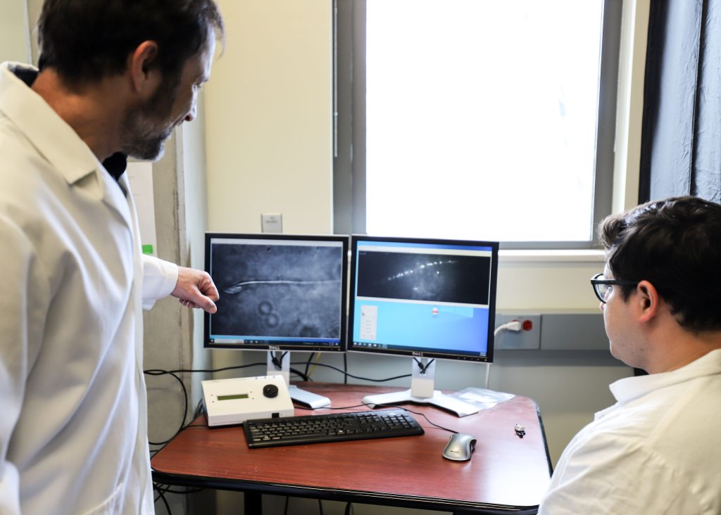 Professor Diego Krapf and post-doctoral student Arturo Matamoros working in lab in the Scott Engineering building on male infertility research.