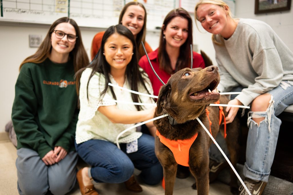 Group of students with a brown dog.