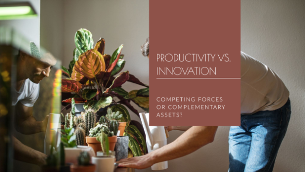Productivity vs. Innovation