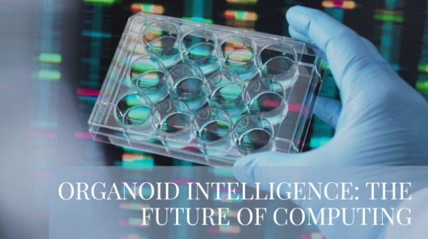 Exploring Organoid Intelligence