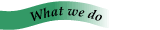 What we do