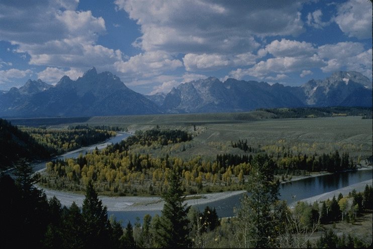 Description: Z:\public_html\CIVE413\snake.jpg