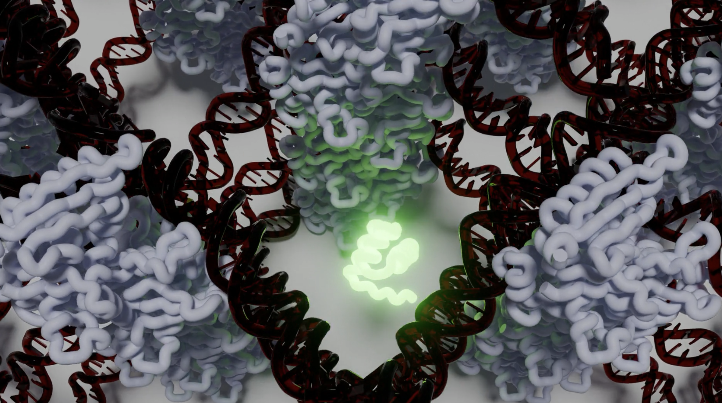 Splash image for Modular Scaffold Crystals paper