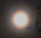 corona