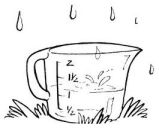 rain gauge