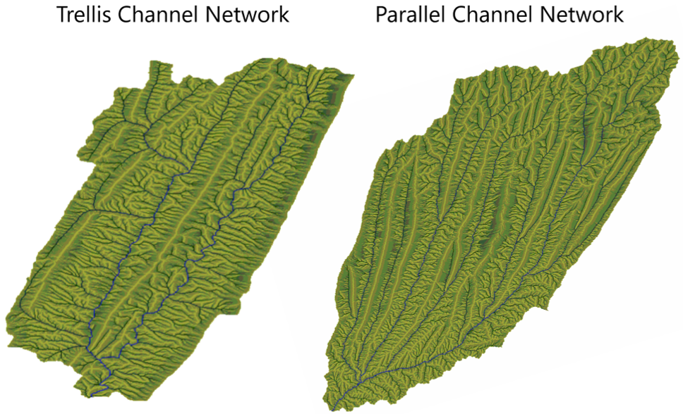 Different channel network structures