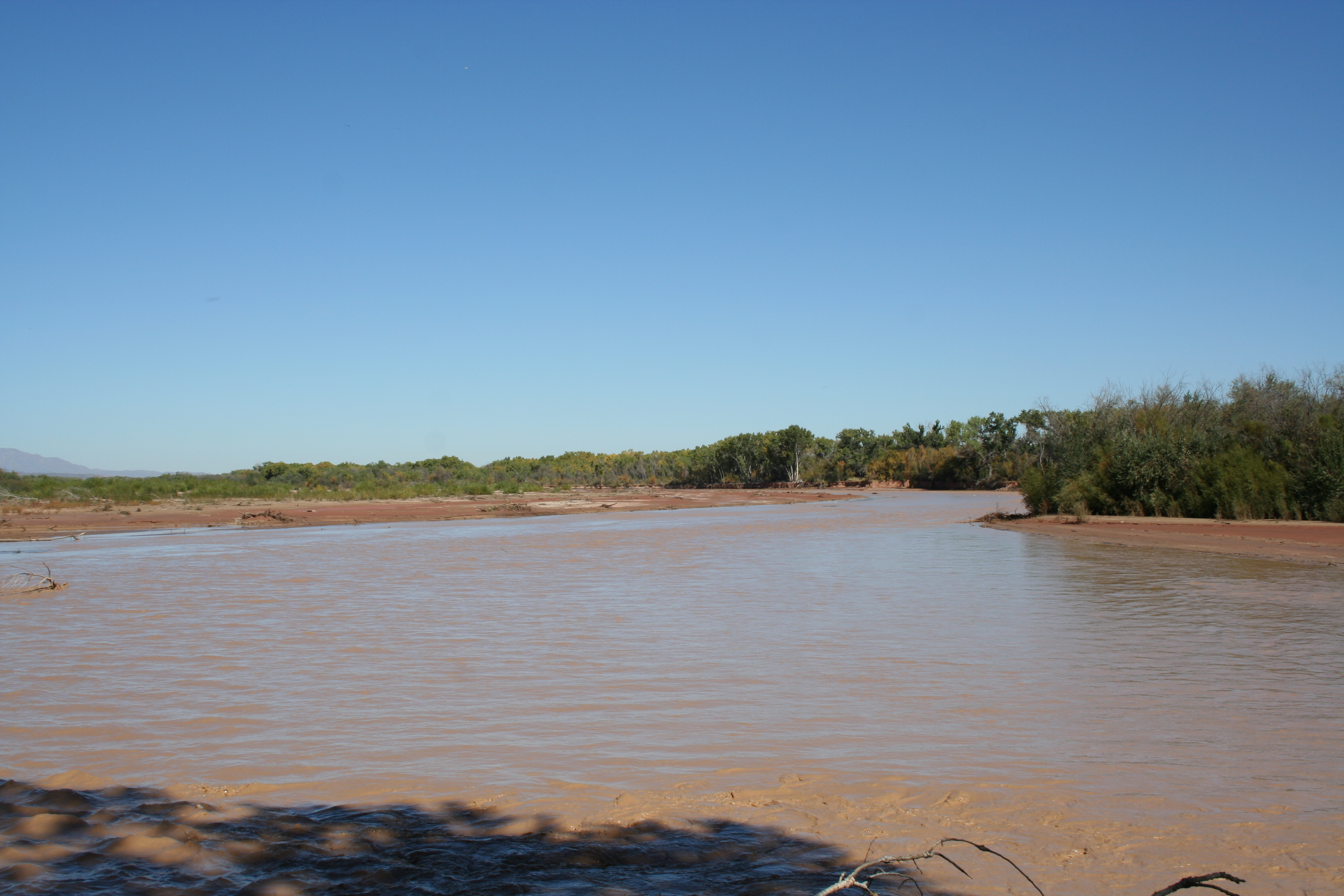 Rio Grande river near Socorro, NM.