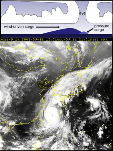 Typhoon Maemi and graphic illustrating storm surge