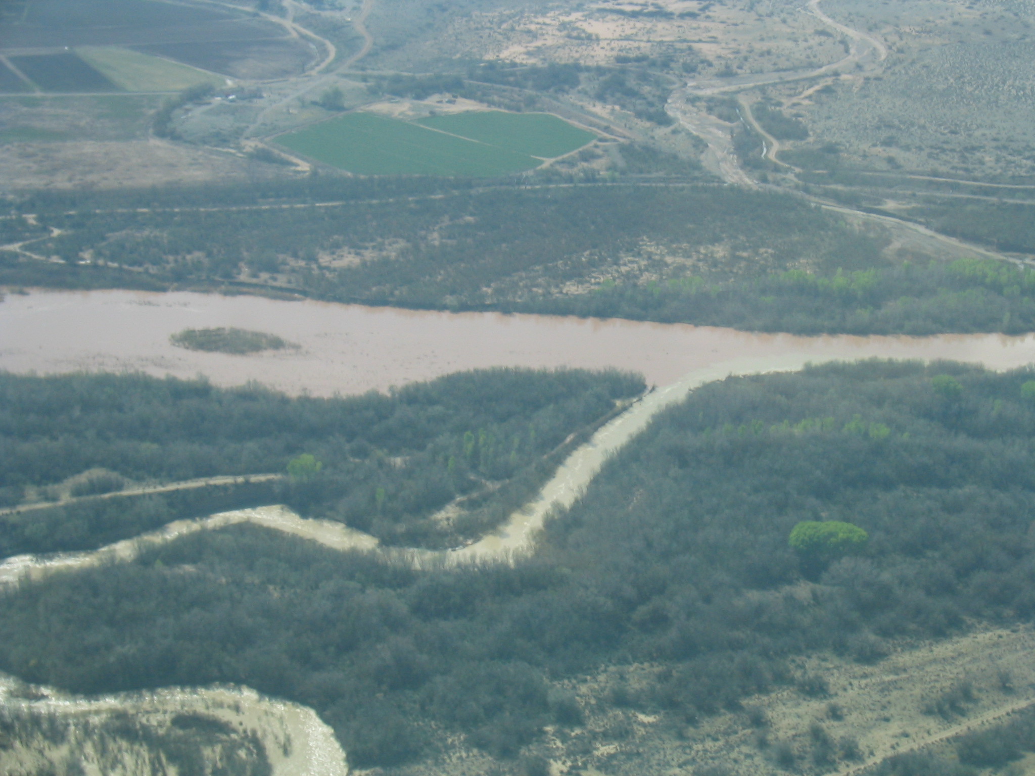 Rio Grande near San Acacia, NM