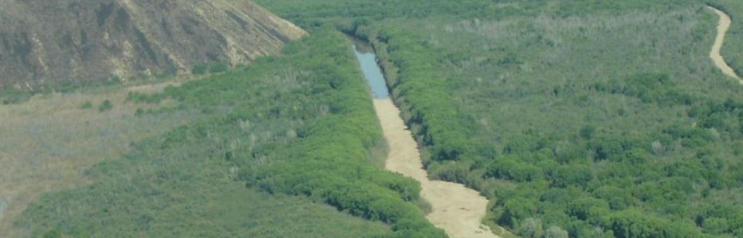 Rio Grande river near Socorro, NM.